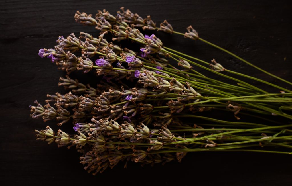 How to Make Lavender Tea - Image by Marius Alice Nikolaieva via Pixabay 
